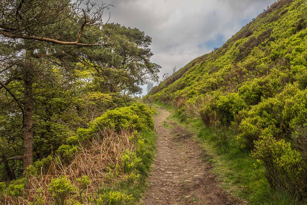 Shooter's Clough