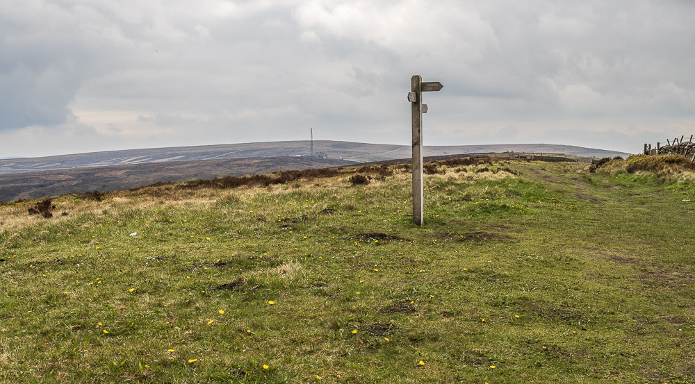 Axe Edge Moor