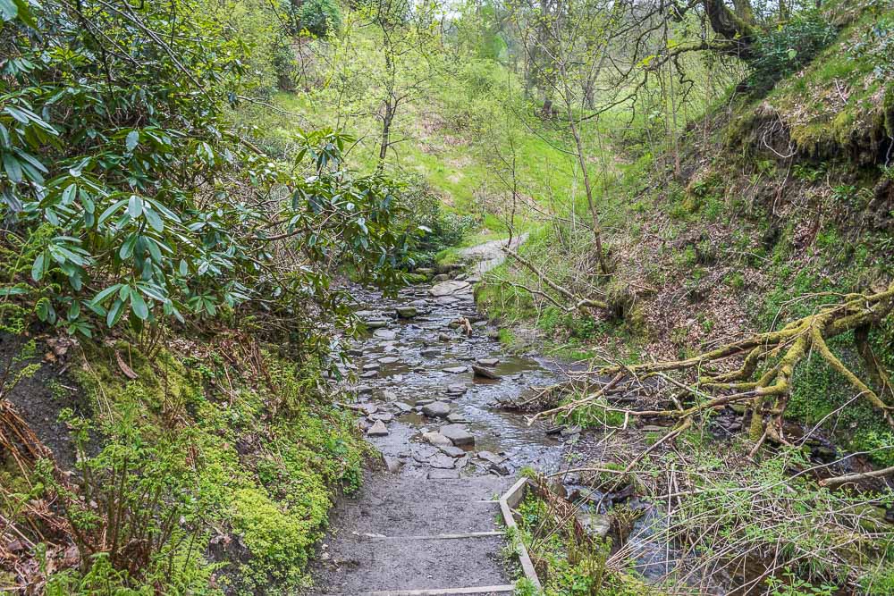 Goyt Valley