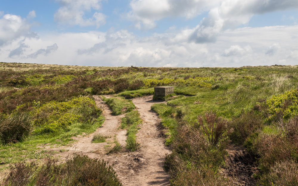 Companion Stone