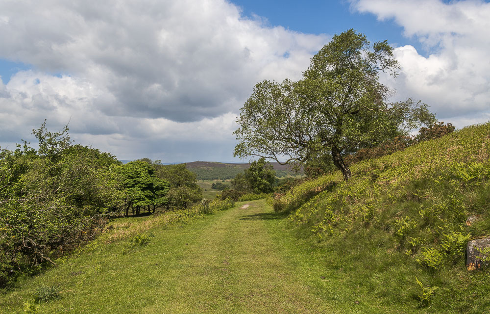 Longshaw