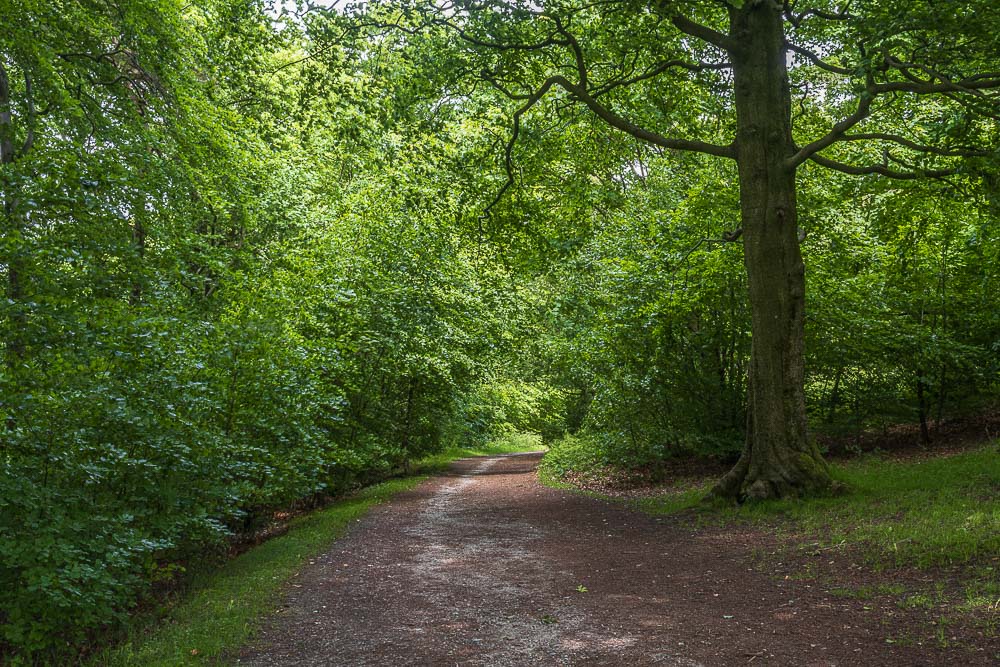 Longshaw