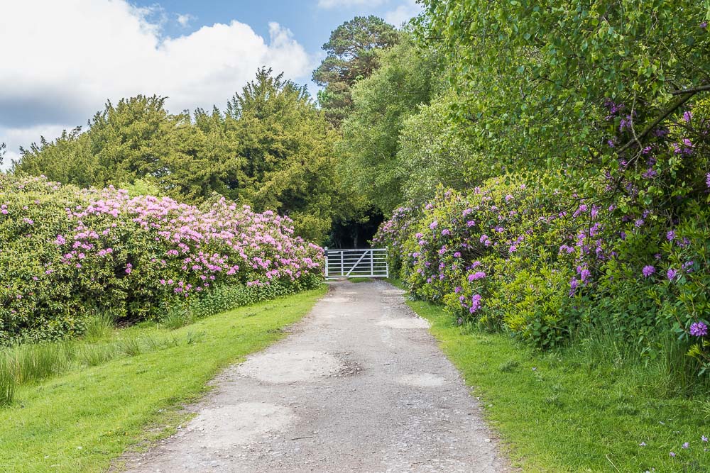 Longshaw