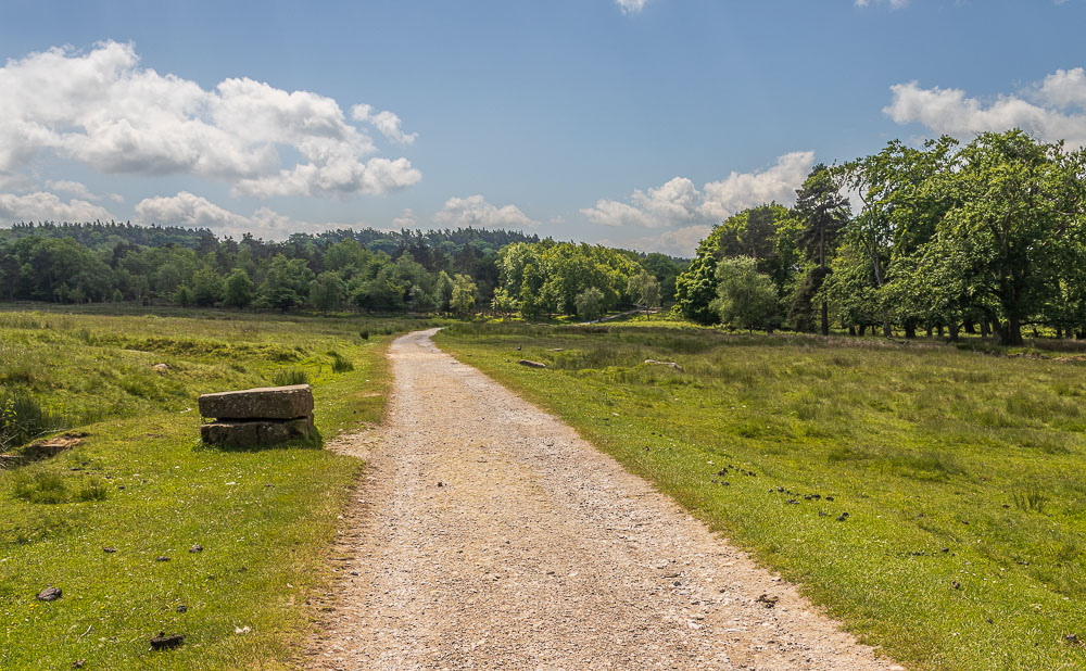 Longshaw Estate