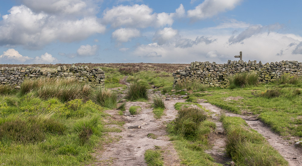 White Edge Moor