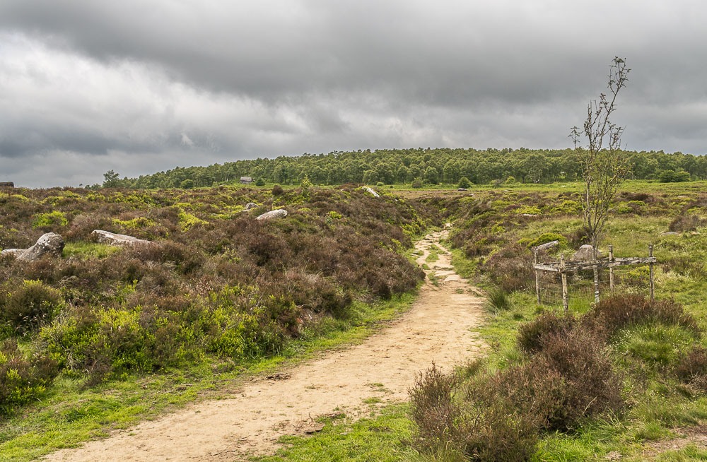 Padley Gorge