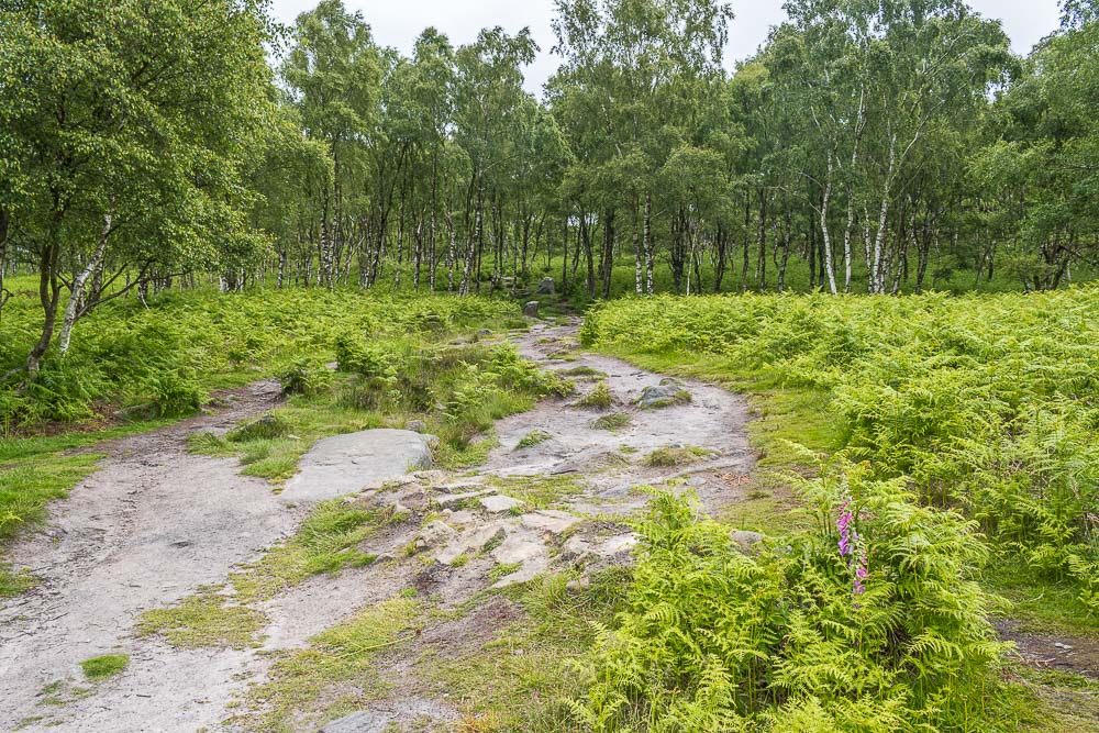 Grey Millstone Quarry