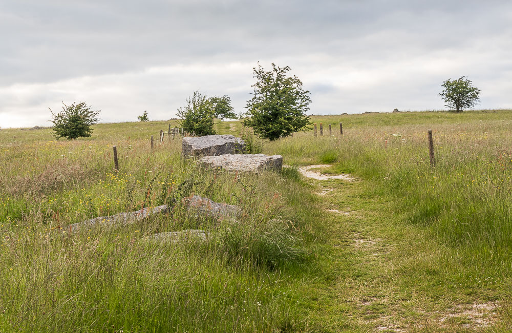 Middleton Moor