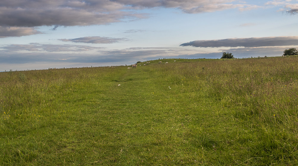 Middleton Moor