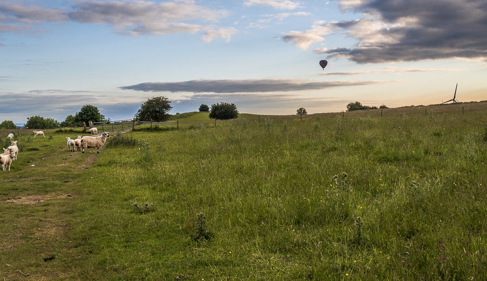 Middleton Moor