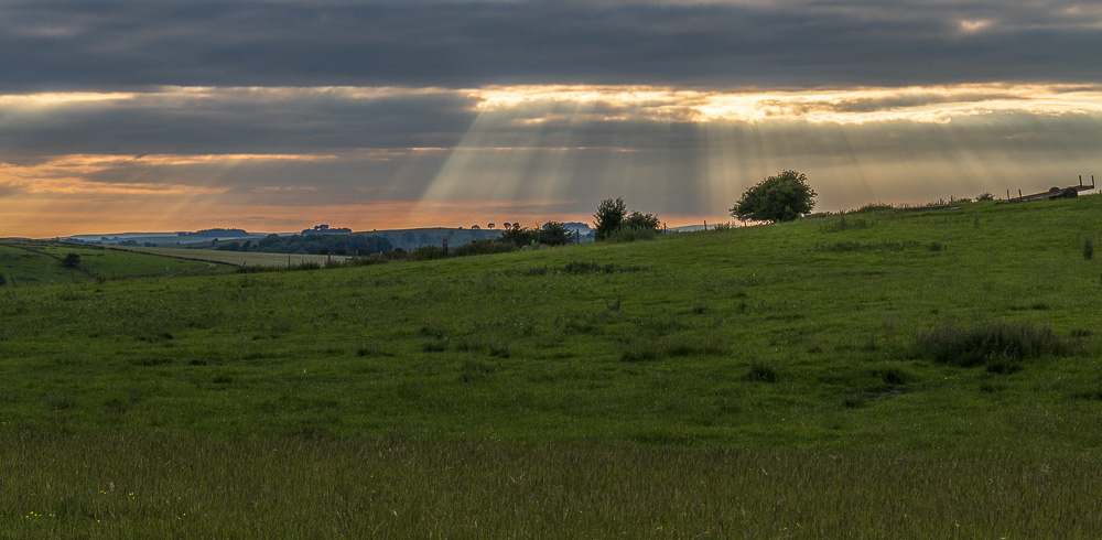 Middleton Moor