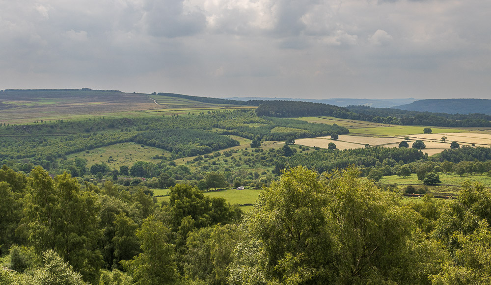 Gibbet Moor