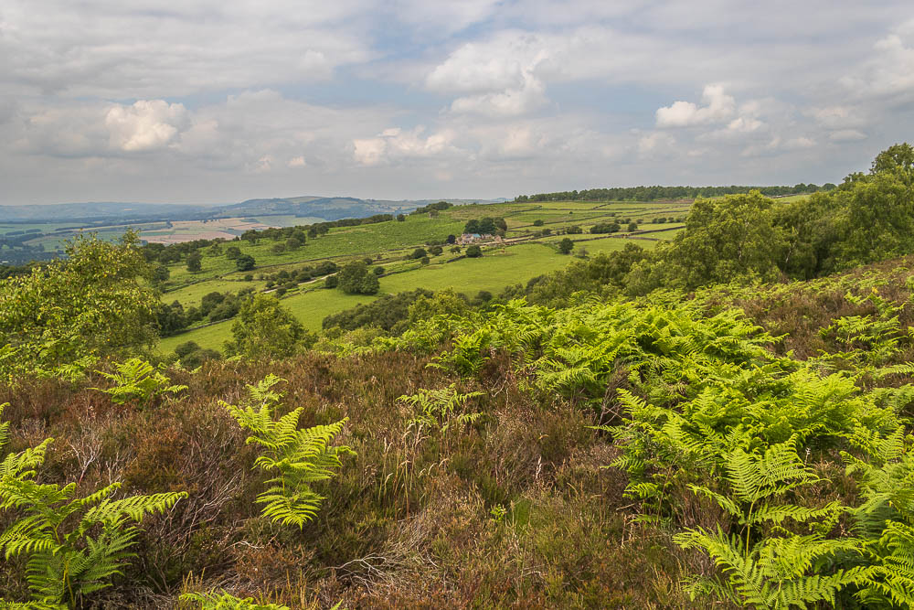 Longstone Edge