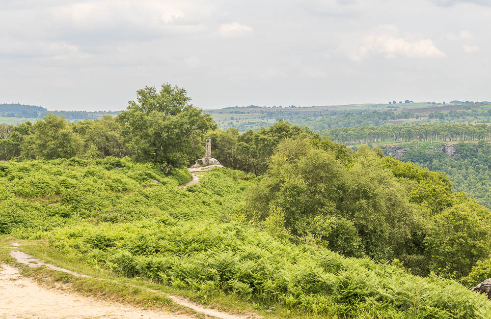 Wellington's Monument