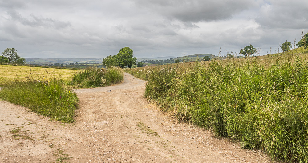 Reynards Lane