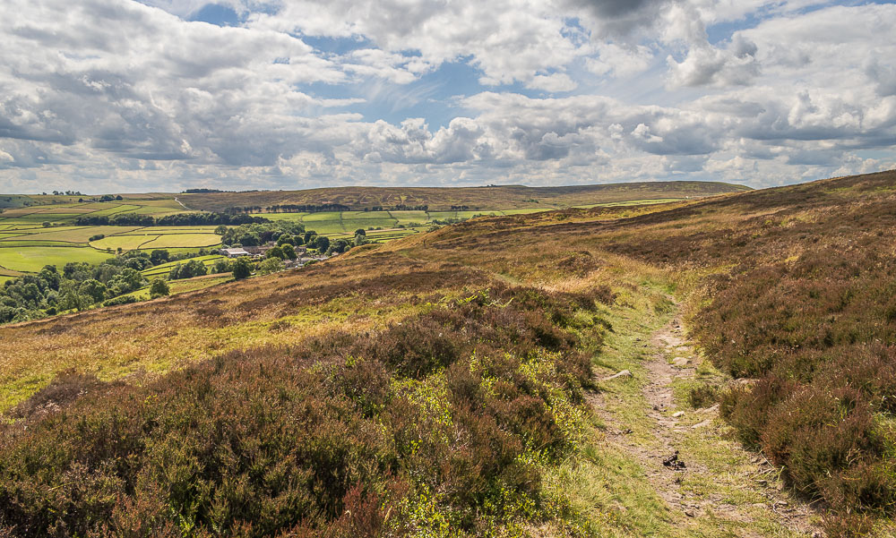 Abney Moor