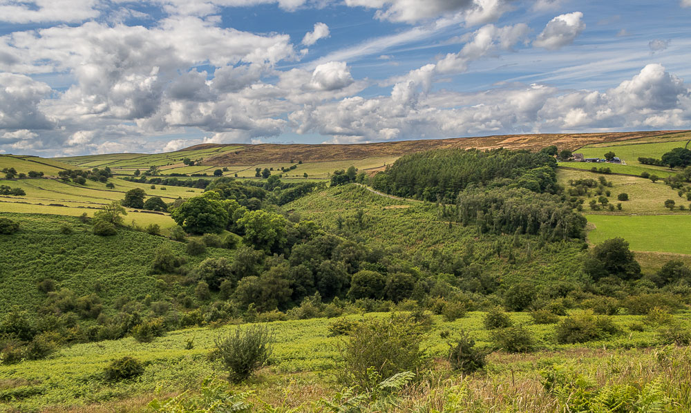 Abney Moor