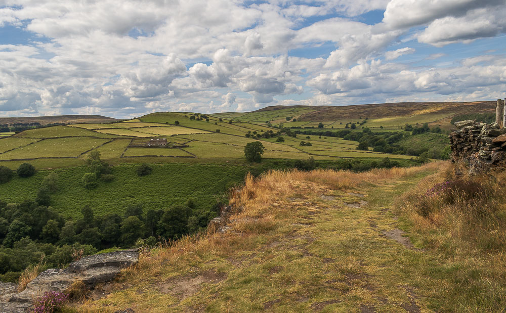 Abney Moor