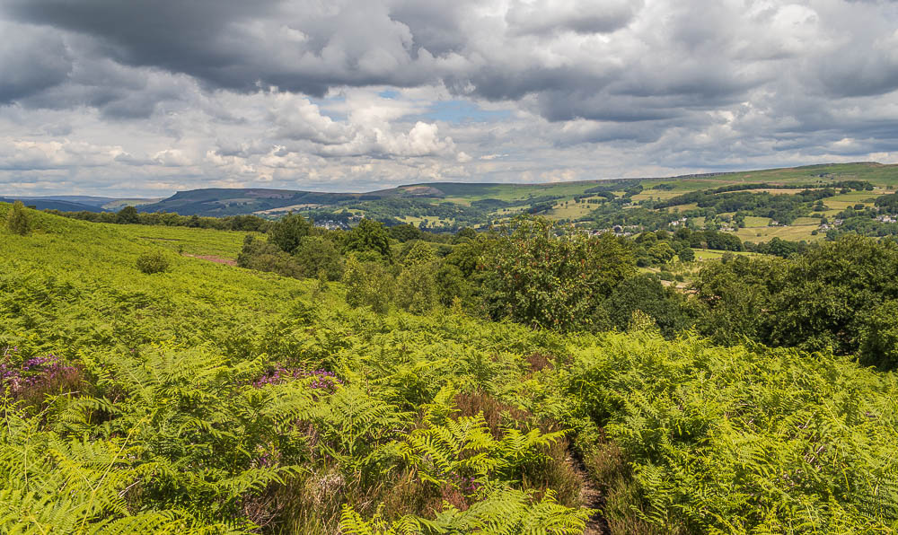 Bamford Edge