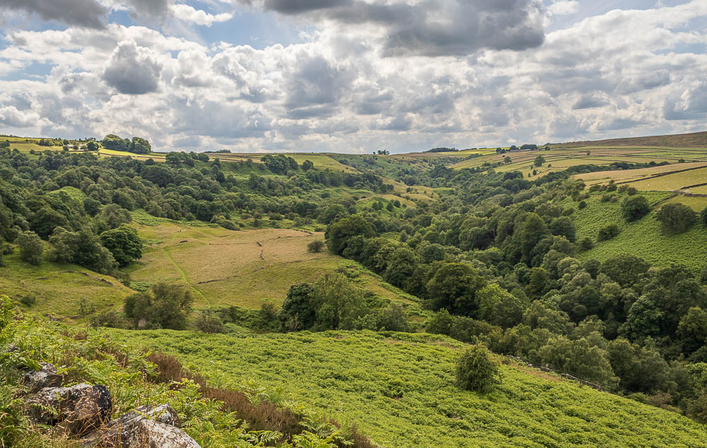 Bretton Clough