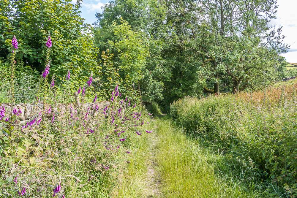 Abney Clough