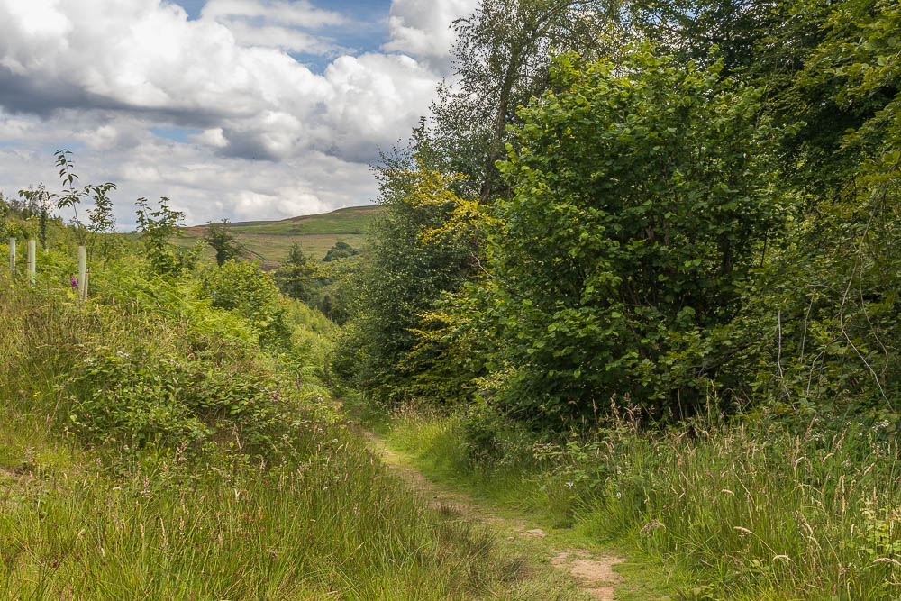 Abney Clough