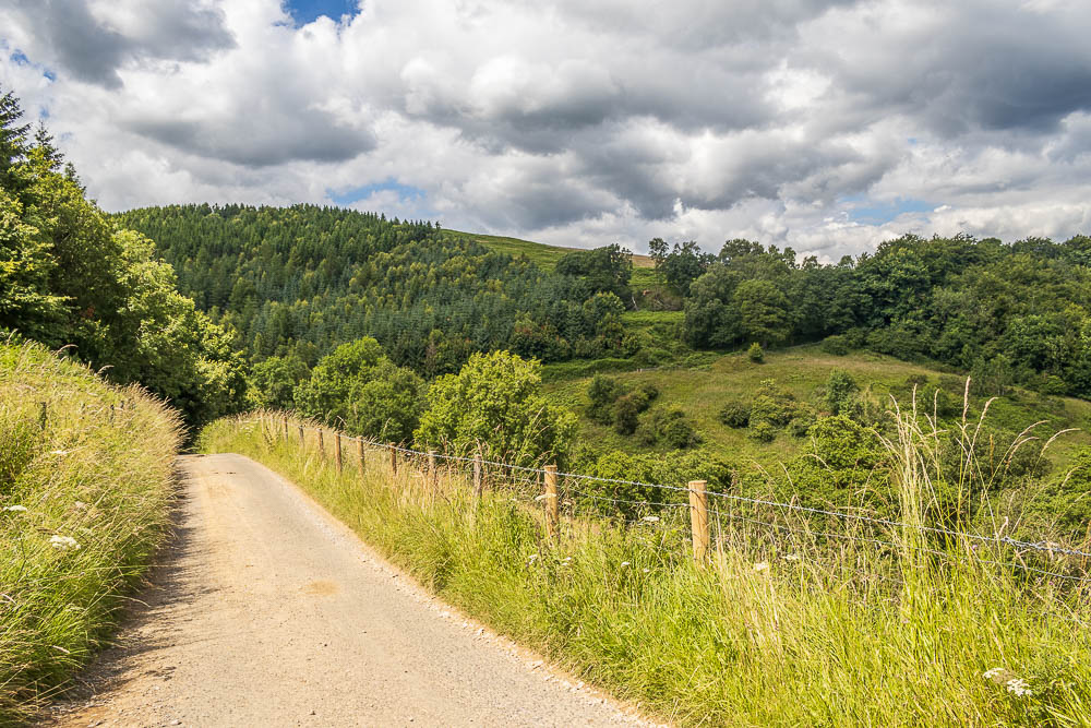 Dunge Wood