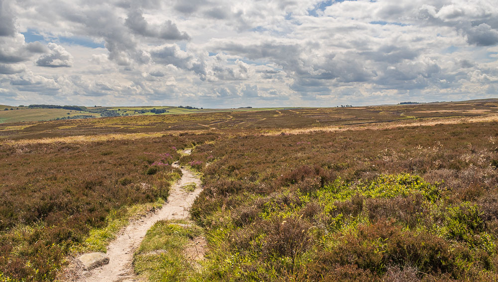 Offerton Moor