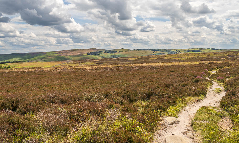 Offerton Moor