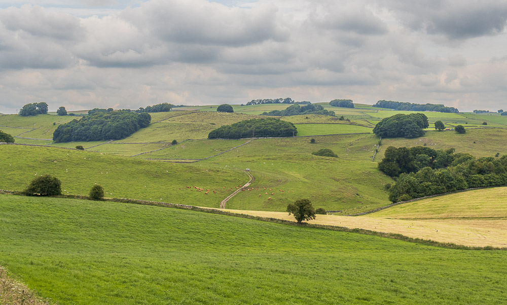 Alsop en le Dale