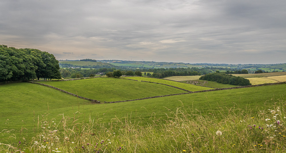 Carsington Pastures