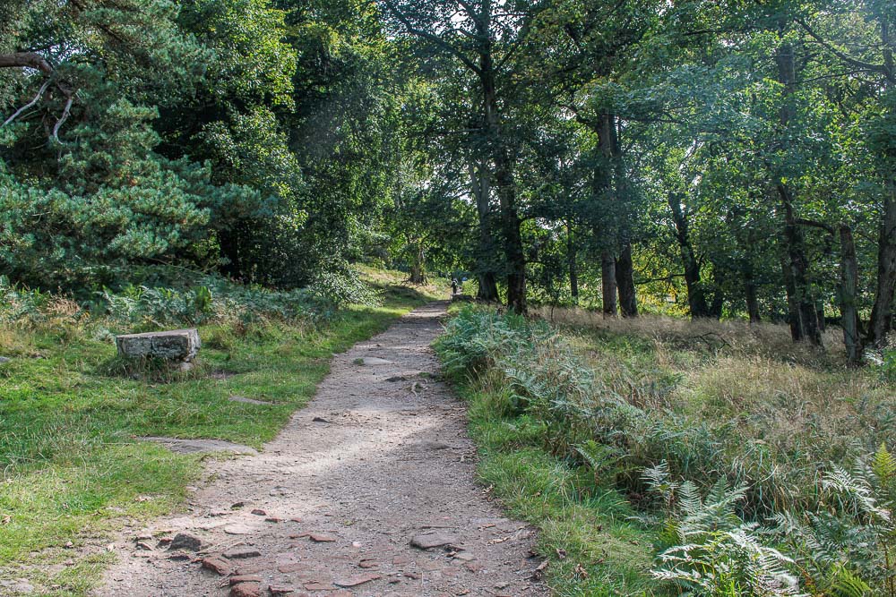 Longshaw Longshaw