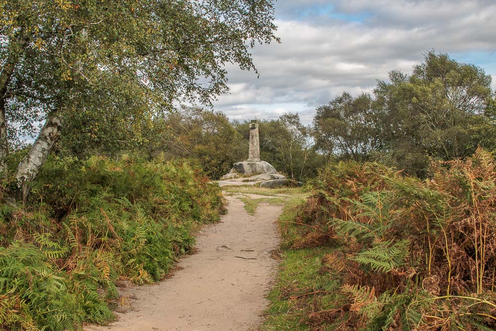 Wellington's Monument Wellington's Monument