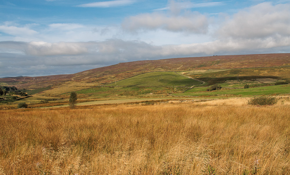 Derwent Moor Derwent Moor